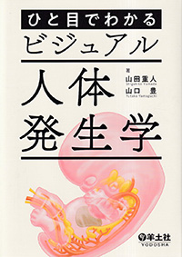 ひと目でわかるビジュアル人体発生学