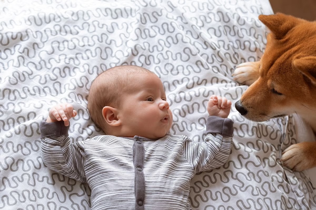 『幼少期に犬と接触するとアトピー性皮膚炎の遺伝学的影響が軽減される』のイメージ